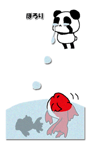 336535617