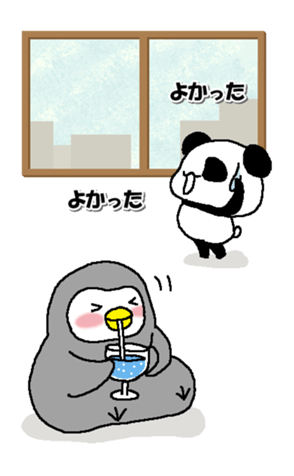 336535621