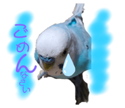 336542422