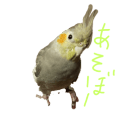 336546695