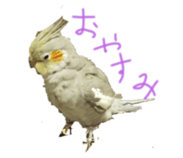 336546696