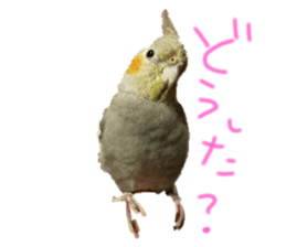 336546697