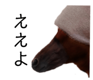 336576548
