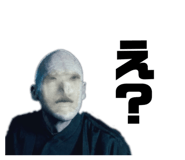 336576555