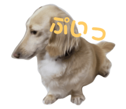 336577674