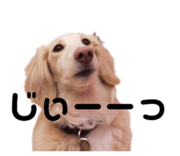 336577679