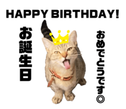 336585477