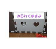 336601069