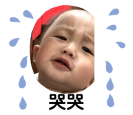 336648466