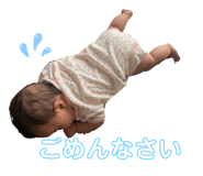 336665904