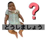 336665906