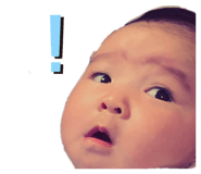 336665912