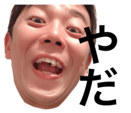 336666702