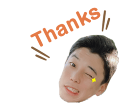 336666709