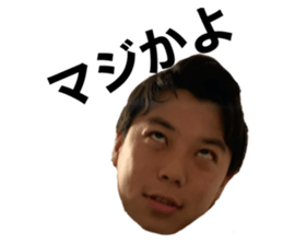 336666719