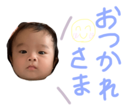 336667028