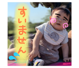 336667044