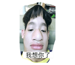 336744595
