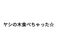 336775745