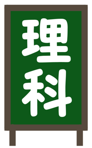 336781075