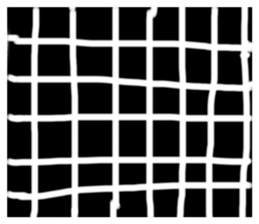 336790217