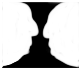336790219