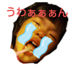 336830282