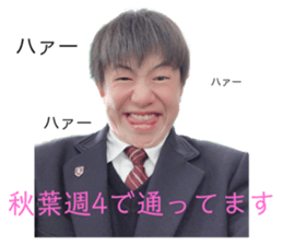 336833501