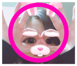 336839654