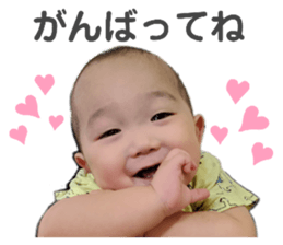 336842340