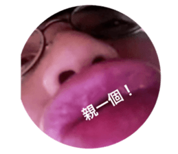 33685237