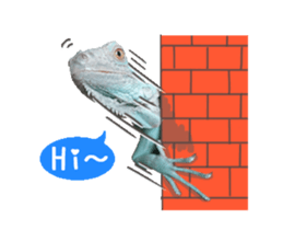 33686693