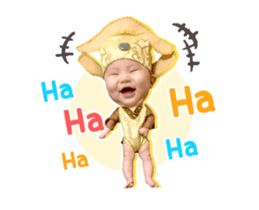 33687608