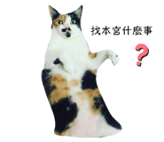 336888841