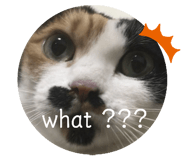 336888847