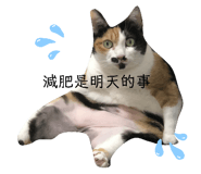 336888857