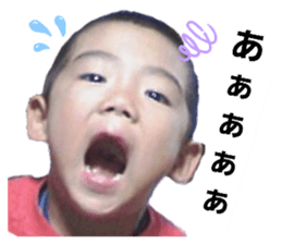 336891845