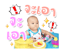 336937666