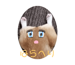 336948829