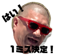 337073529