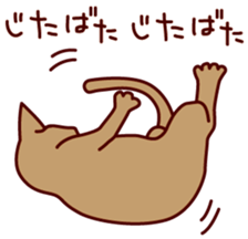 3370900