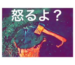 337101624
