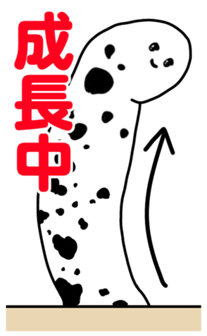 337117069