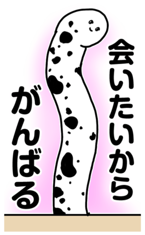 337117072