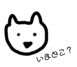 337225075