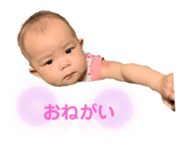 337225377