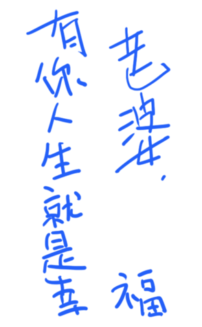 337261317