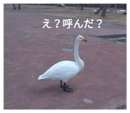 337263647