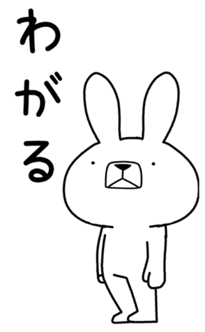 337316611