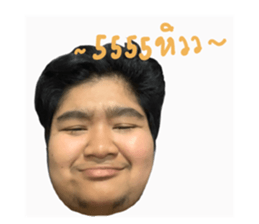 337339265